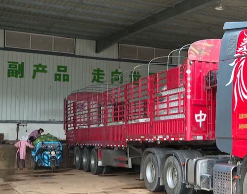 石屏高原特色农业的“冷处理”与增收“热效应”